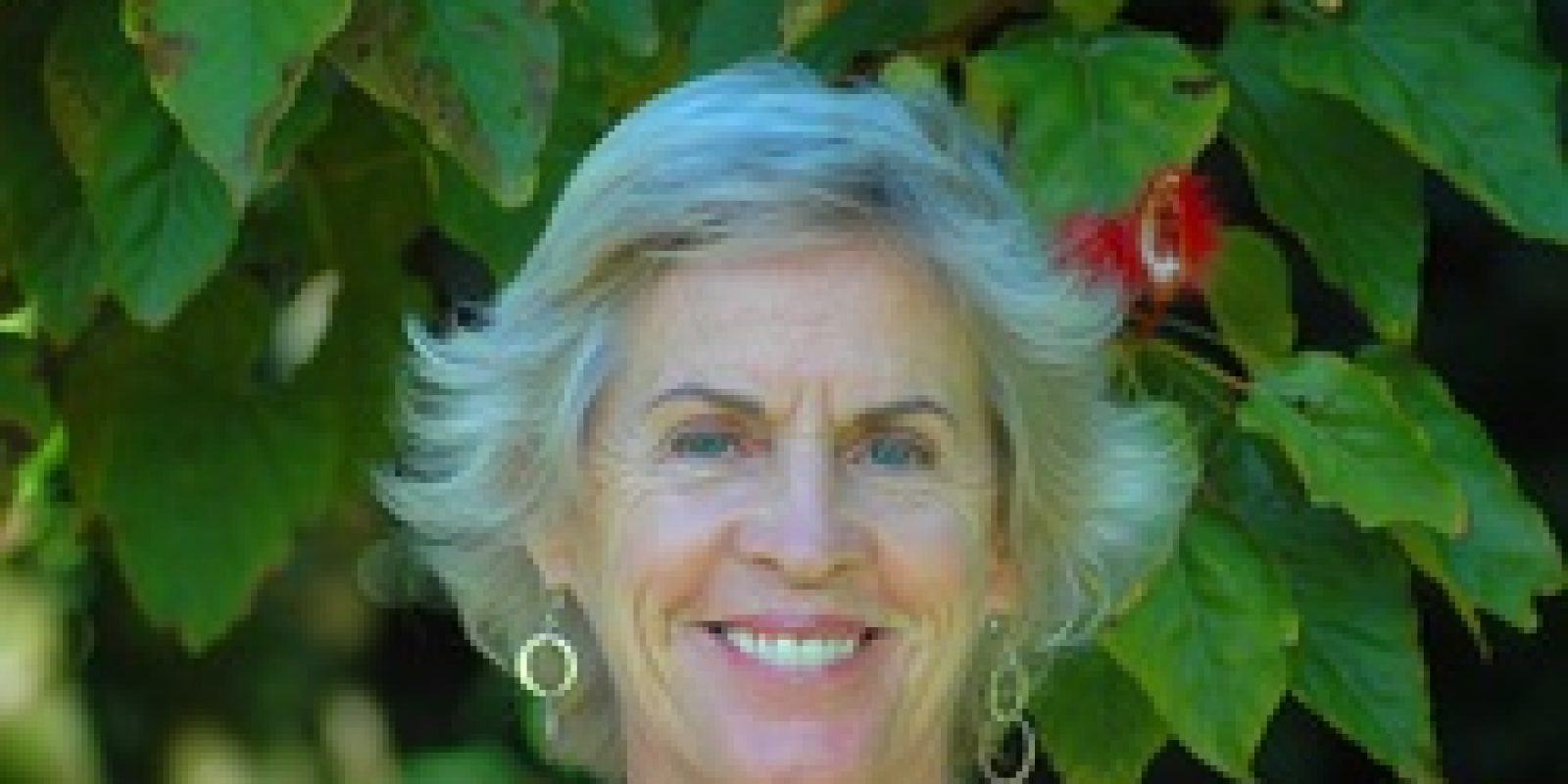 Healthy Aging Activities For Brain And Body Healthy Aging Activities For Brain And Body