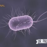 Bacterial Vaginosis