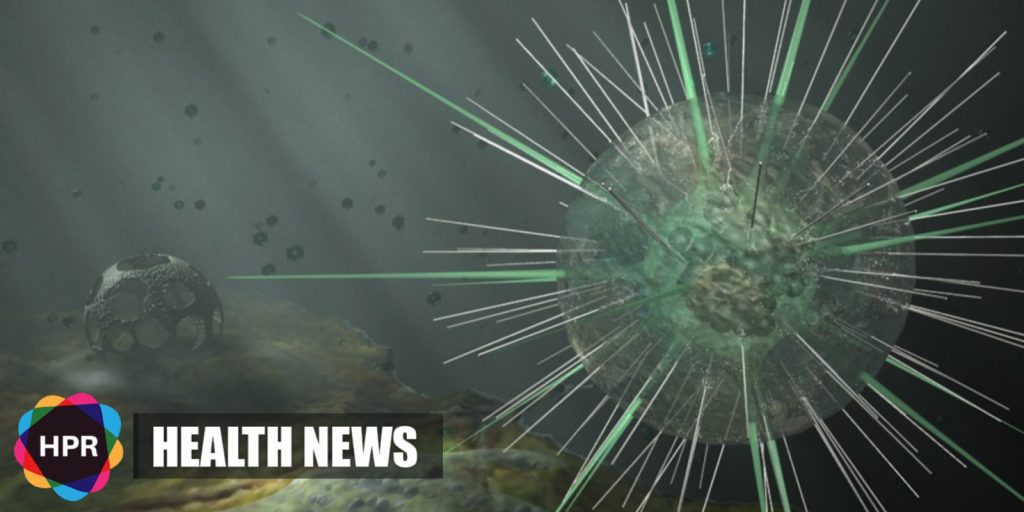 Nipah virus