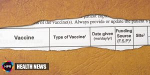 Cancer Vaccine