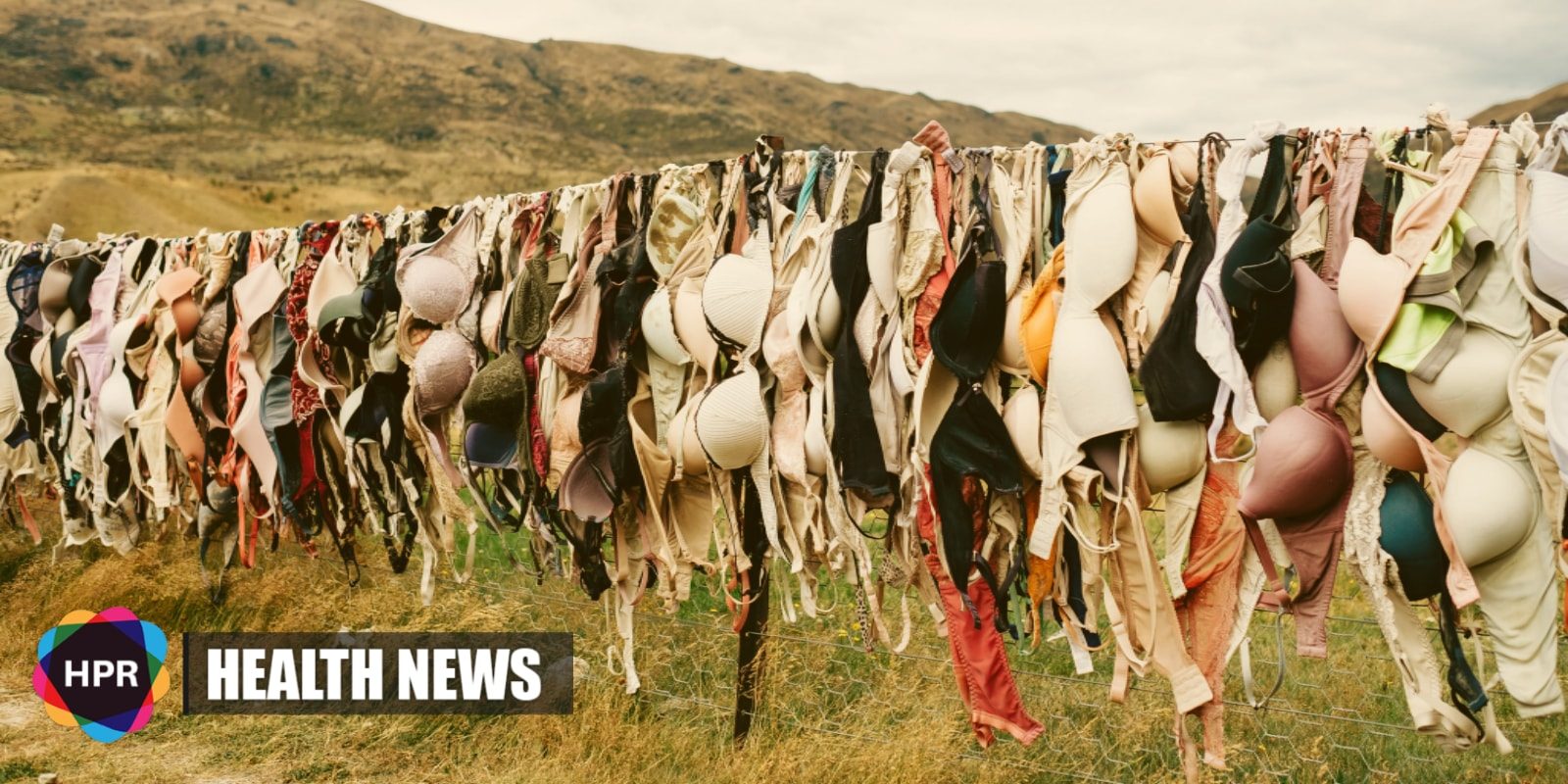 U.S. Postal Stamp Surcharge Saves Cancer Patients