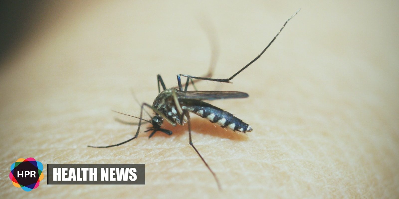 New Malaria Test Wins Prestigious Engineering Prize