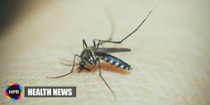 New Malaria Test Wins Prestigious Engineering Prize