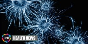 Neuron Health News