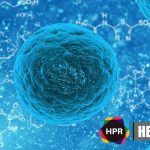 US Journal of Innate Immunity