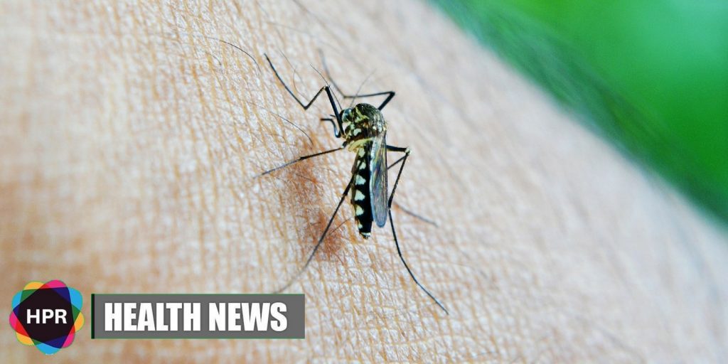 Papua New Guinea / Infection & Immunity