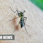 Papua New Guinea / Infection & Immunity