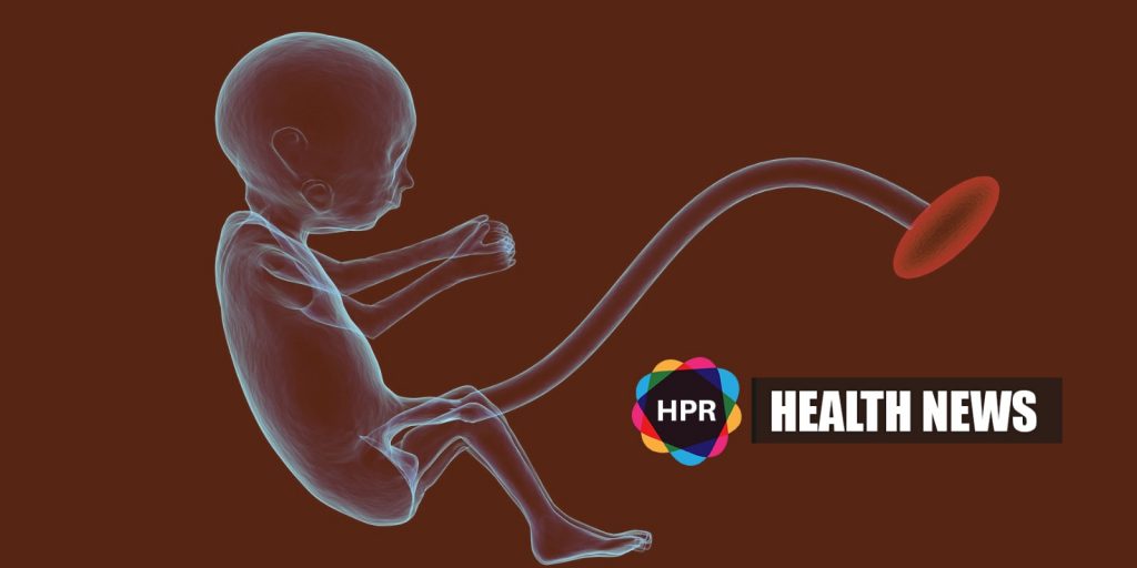 Editing human embryos 'morally permissible?