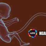 Editing human embryos 'morally permissible?