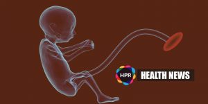 Editing human embryos 'morally permissible?