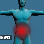Scientists Discover New Potential Target Protein For Colon Cancer