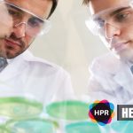The Development of New and Easier Gut Health Test