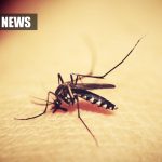 US FDA Gives Green Light For New Malaria Drug