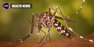 New Discovery Regarding Malaria Could Lead To The Development Of New Therapies