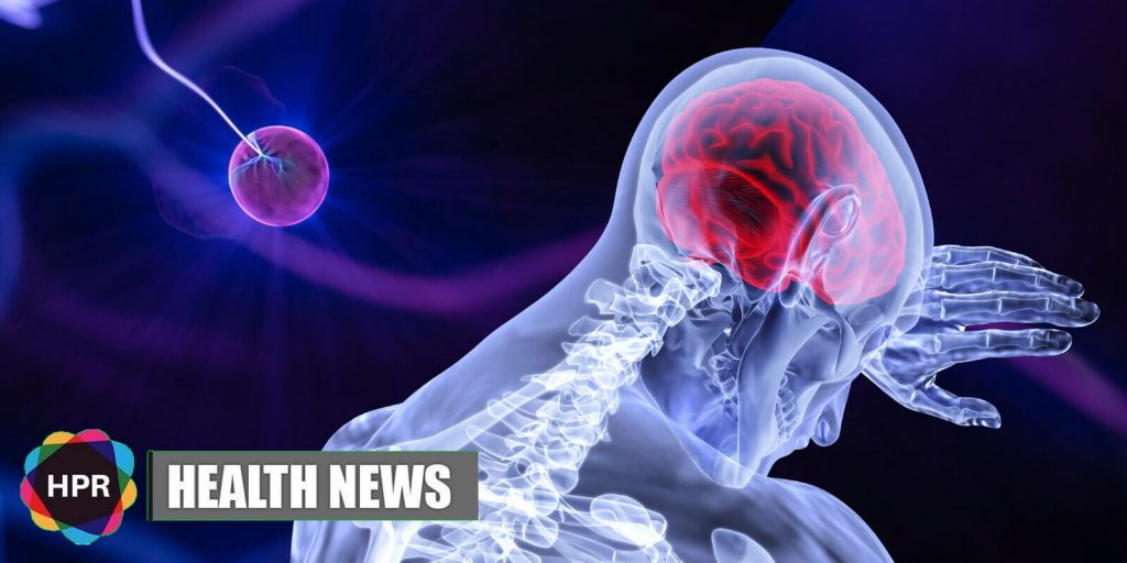 New Discovery On Molecules Could Lead To News Drugs For Traumatic Brain Injury