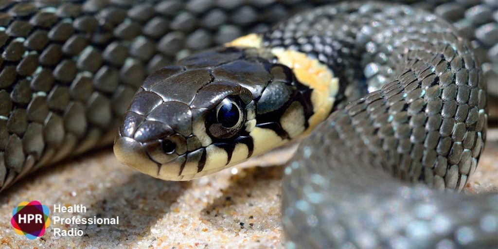 PID 3432 Dr. Charles Gerardo - Snakebite Prevention and Treatment