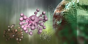 Dan O'Connor - OncoSec Immunotherapies