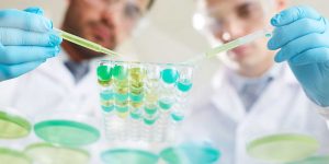 Josh Blacher - InMed Pharmaceuticals