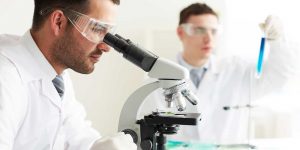 PID 3529 Martin Low - On Target Laboratories OTL78 for Prostate Cancer