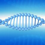 PID 3530 Dr Michael Polydefkis - New Treatment for Hereditary ATTR Amyloidosis