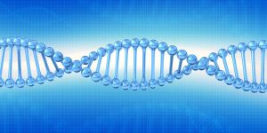 PID 3530 Dr Michael Polydefkis - New Treatment for Hereditary ATTR Amyloidosis