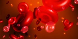 PID 3694 HPR - Neal Howard - Dr. Jonathan Sorof - Sickle Cell Disease Care Disparities