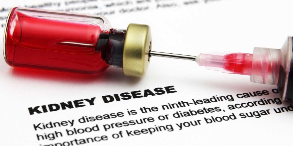 Chronic Kidney Disease (CKD) and Plant-Based Diets