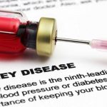 Chronic Kidney Disease (CKD) and Plant-Based Diets