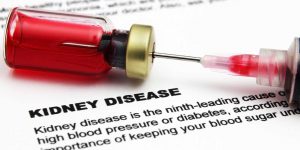 Chronic Kidney Disease (CKD) and Plant-Based Diets