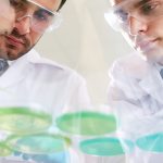 Spot On Sciences - Dried Blood Spot Sample Collection