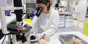 Gene-Edited-CAR-T-Cells