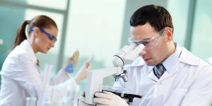 Gloucester-Marine-Genomics-Institute-(GMGI)-Research