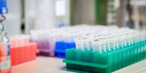 Genomic-Medicines---Sangamo-Therapeutics-Inc