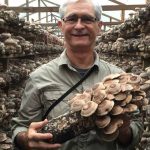Medicinal-Mushrooms---Nammex-Organic-Mushrooms-Extracts