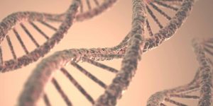 Caris-Life-Sciences®---Whole-Exome-Sequencing