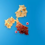 Phase-l-Study---Boltbody™-Immune-Stimulating-Antibody-Conjugates-(ISAC)