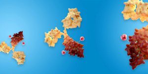 Phase-l-Study---Boltbody™-Immune-Stimulating-Antibody-Conjugates-(ISAC)