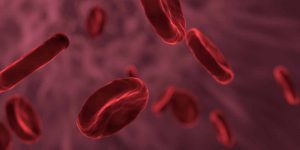 Immunexpress---Near-Patient-Diagnostic-For-Sepsis---SeptiCyte®-RAPID