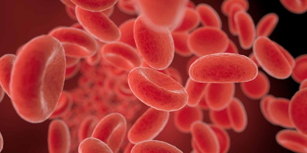Blood-Cancers,-Therapeutic-Progress,-and-the-Impact-of-COVID-on-Research