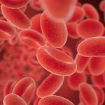 Fighting-Blood-Cancers-with-New-and-Innovative-Treatments