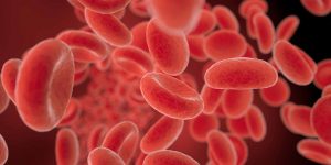 Fighting-Blood-Cancers-with-New-and-Innovative-Treatments