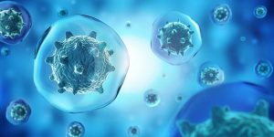 Cyclacel-Pharmaceuticals---Cancer-Cell-Biology