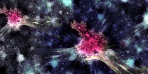Study-Finds-Possible-Breakthrough-in-Treating-Incurable-Neurological-Conditions