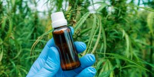 The-Sera-Labs---CBD-Health-and-Wellness