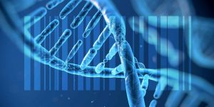 Atreca---Turning-the-Current-Cancer-Therapeutic-Discovery-Paradigm-on-its-Head