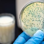 How Human Milk Oligosaccharides (HMOs) Can Help Your Gut
