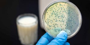 How Human Milk Oligosaccharides (HMOs) Can Help Your Gut