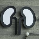 New Treatment Developments in Chronic Kidney Disease