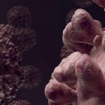 Know the Difference Between COVID-Delta Variant and Cold-Allergy Symptoms