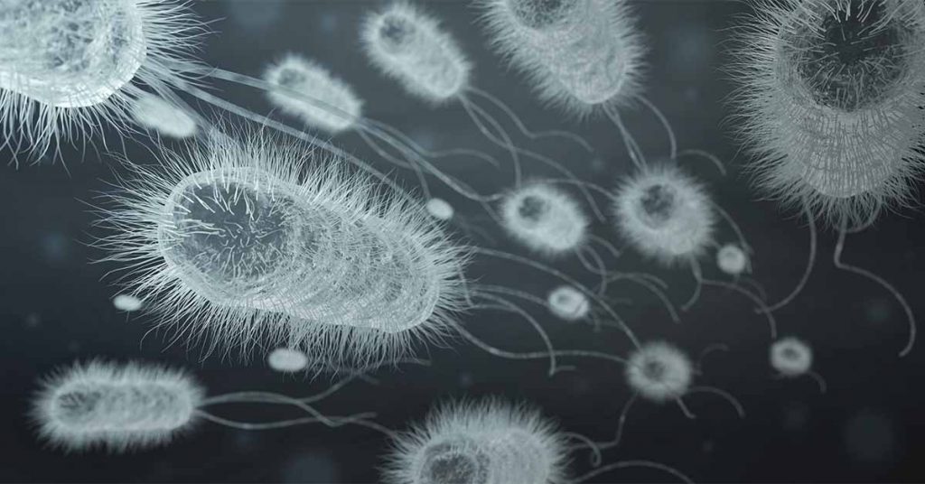 MeMed BV - Distinguish Between Viral and Bacterial Infection